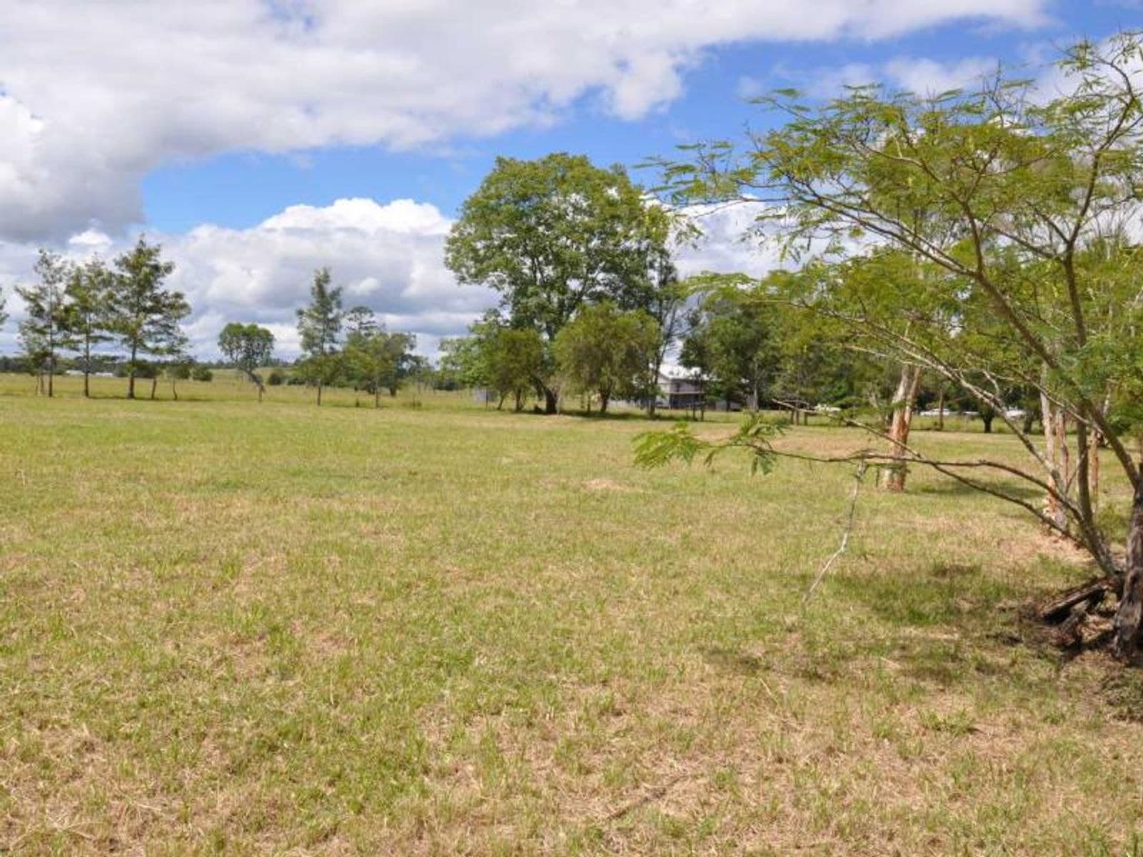 Lot 1 Lot 1 Dyraaba Road, Dyraaba - Thumbnail 8