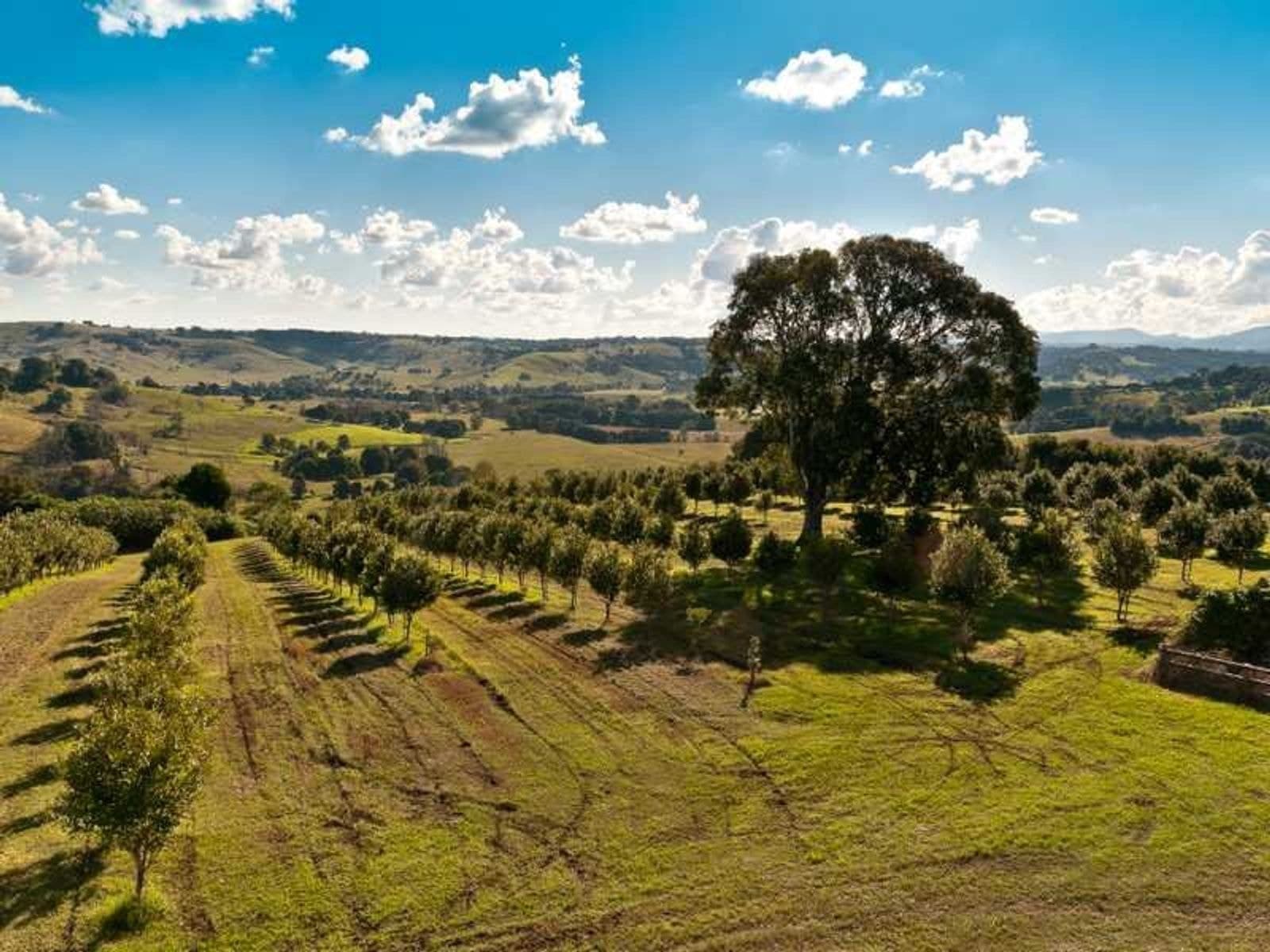 1344 Bangalow Road, Clunes - Thumbnail 8