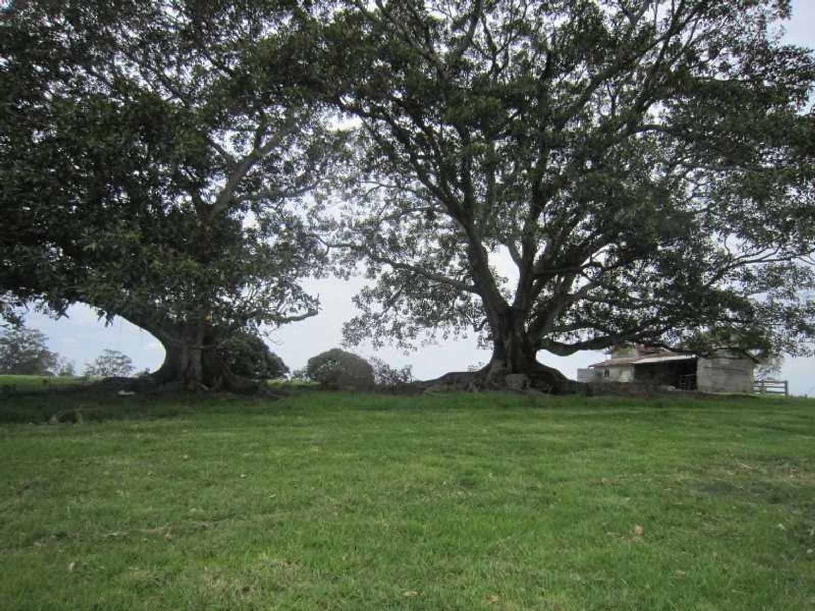 644 Dunoon Road, Tullera - Thumbnail 4