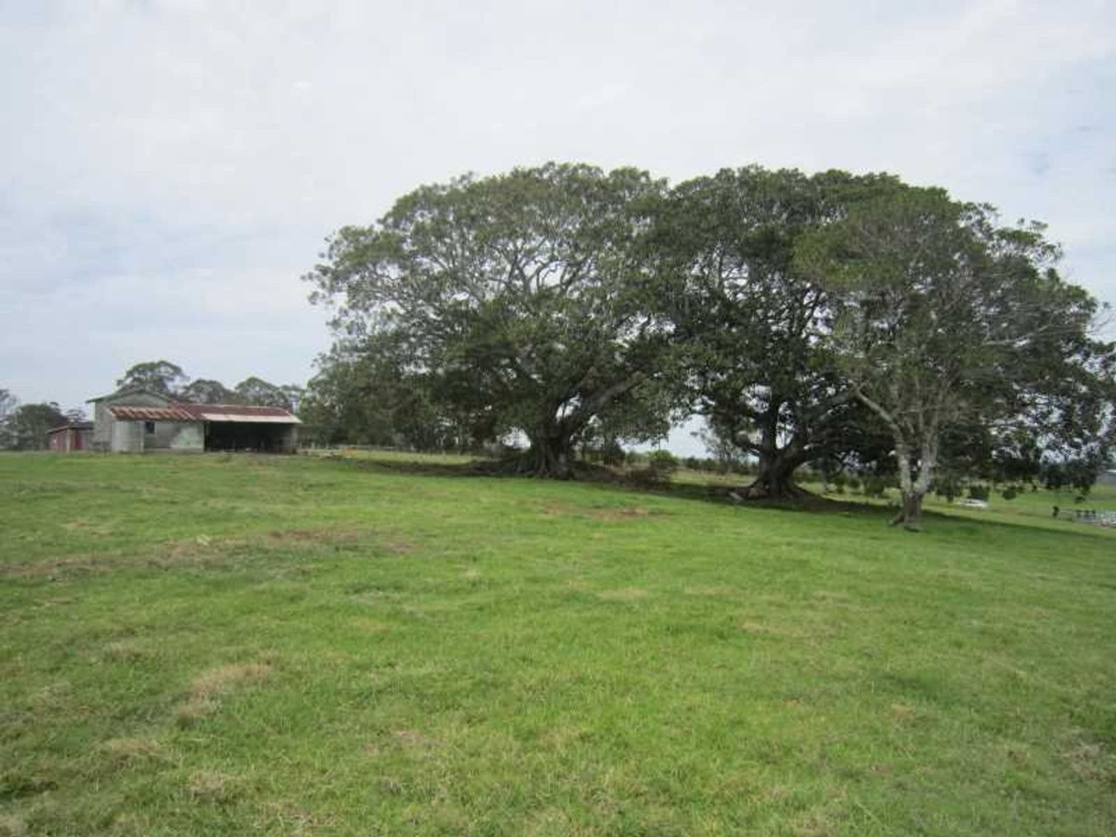 644 Dunoon Road, Tullera - Thumbnail 5