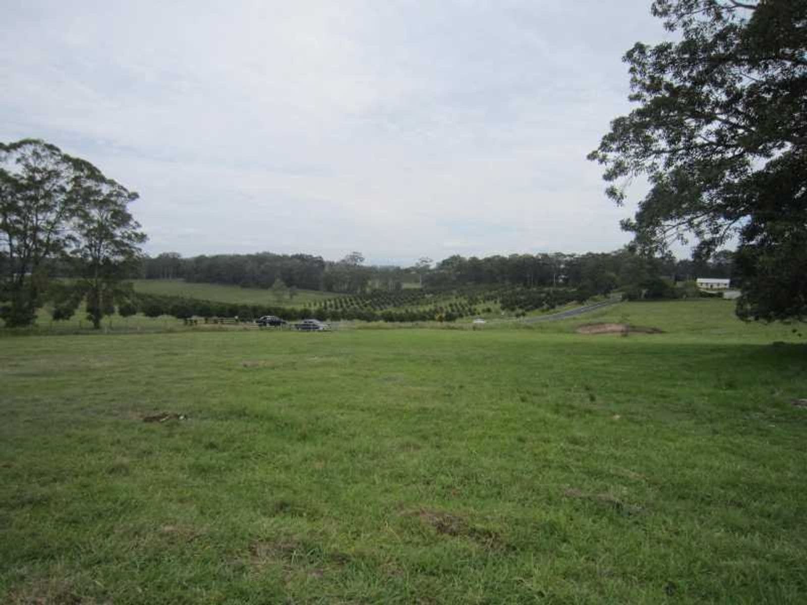 644 Dunoon Road, Tullera - Thumbnail 6