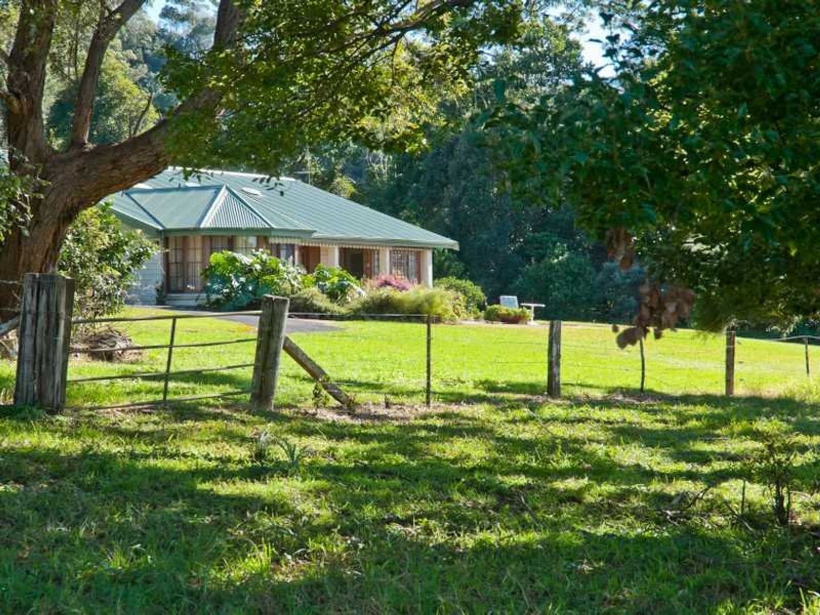 864 Fernleigh Rd, Brooklet - Thumbnail 4