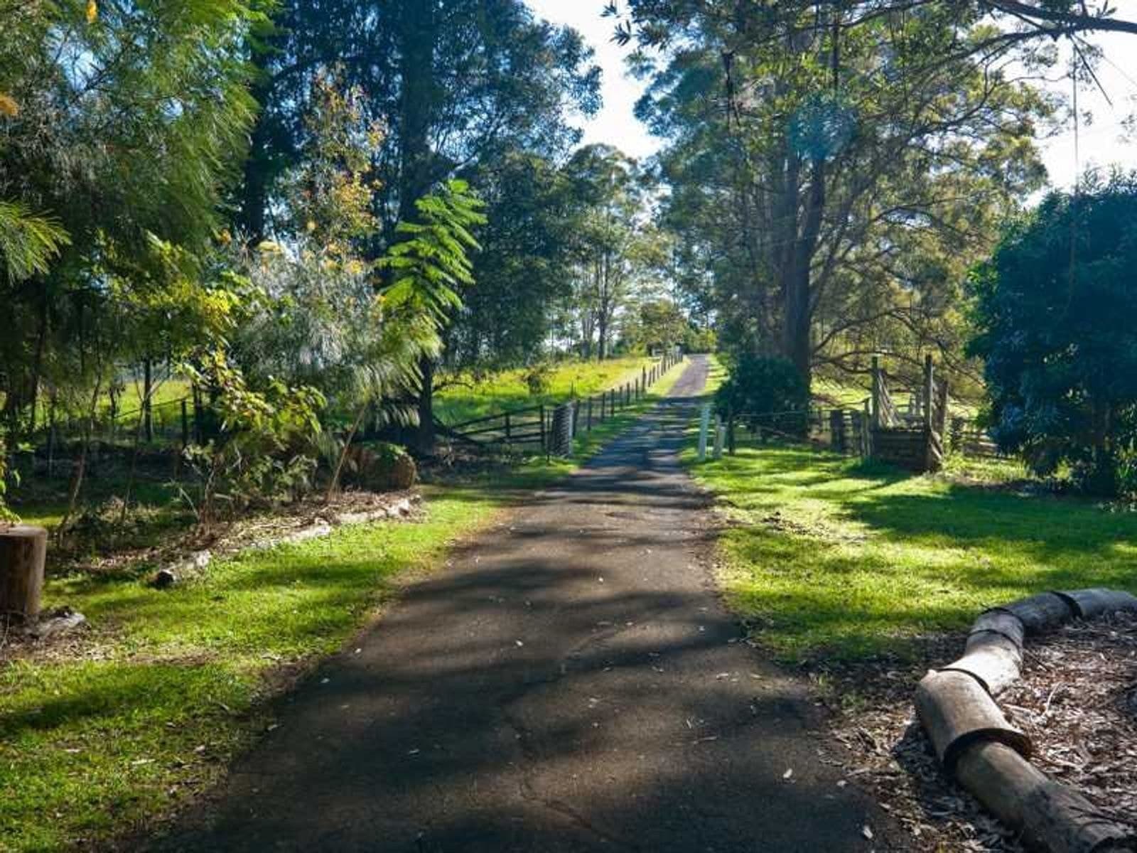 864 Fernleigh Rd, Brooklet - Thumbnail 5