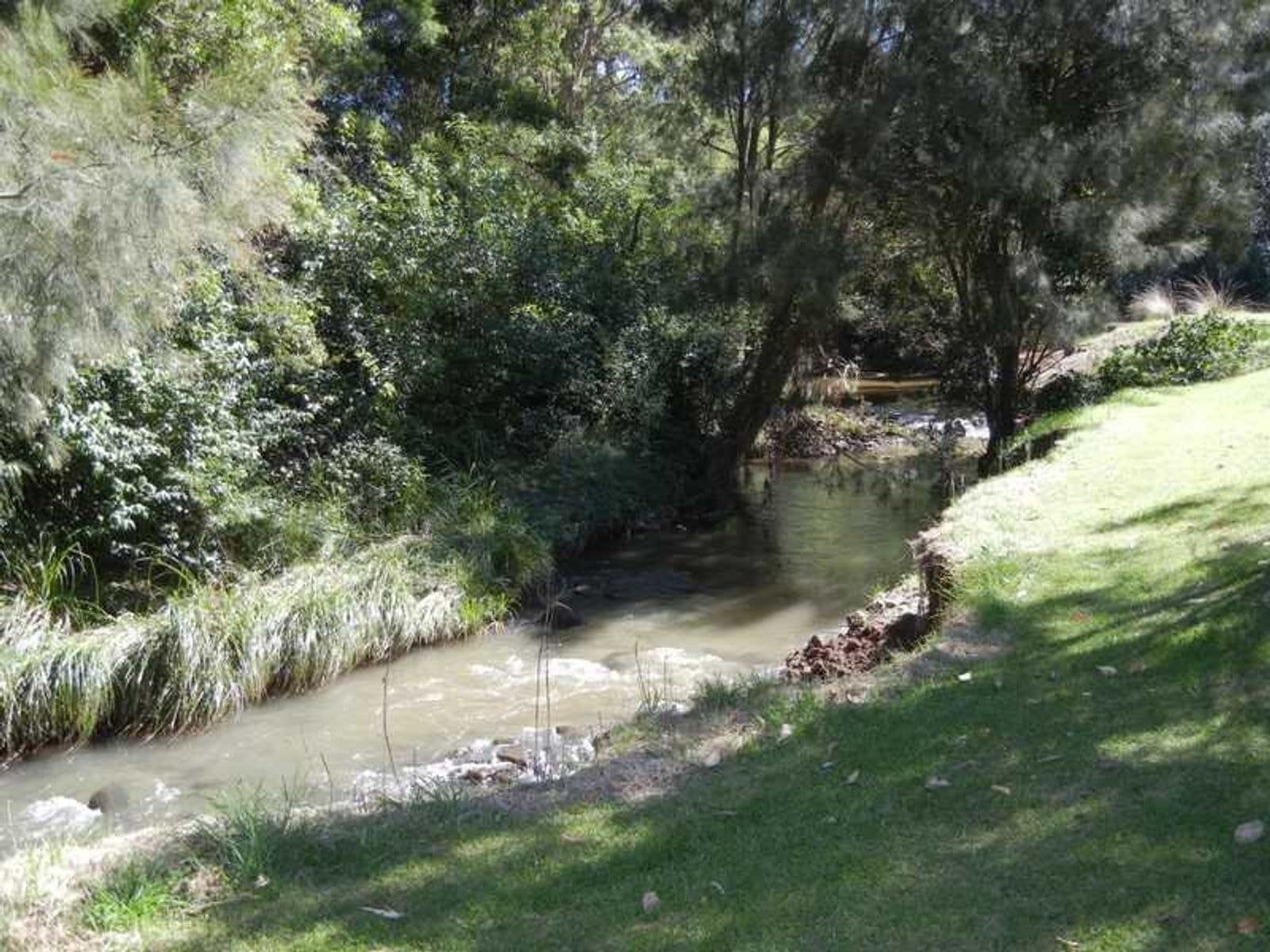 5 Mountain View Road, Killarney, QLD 4373, Killarney - Thumbnail 5