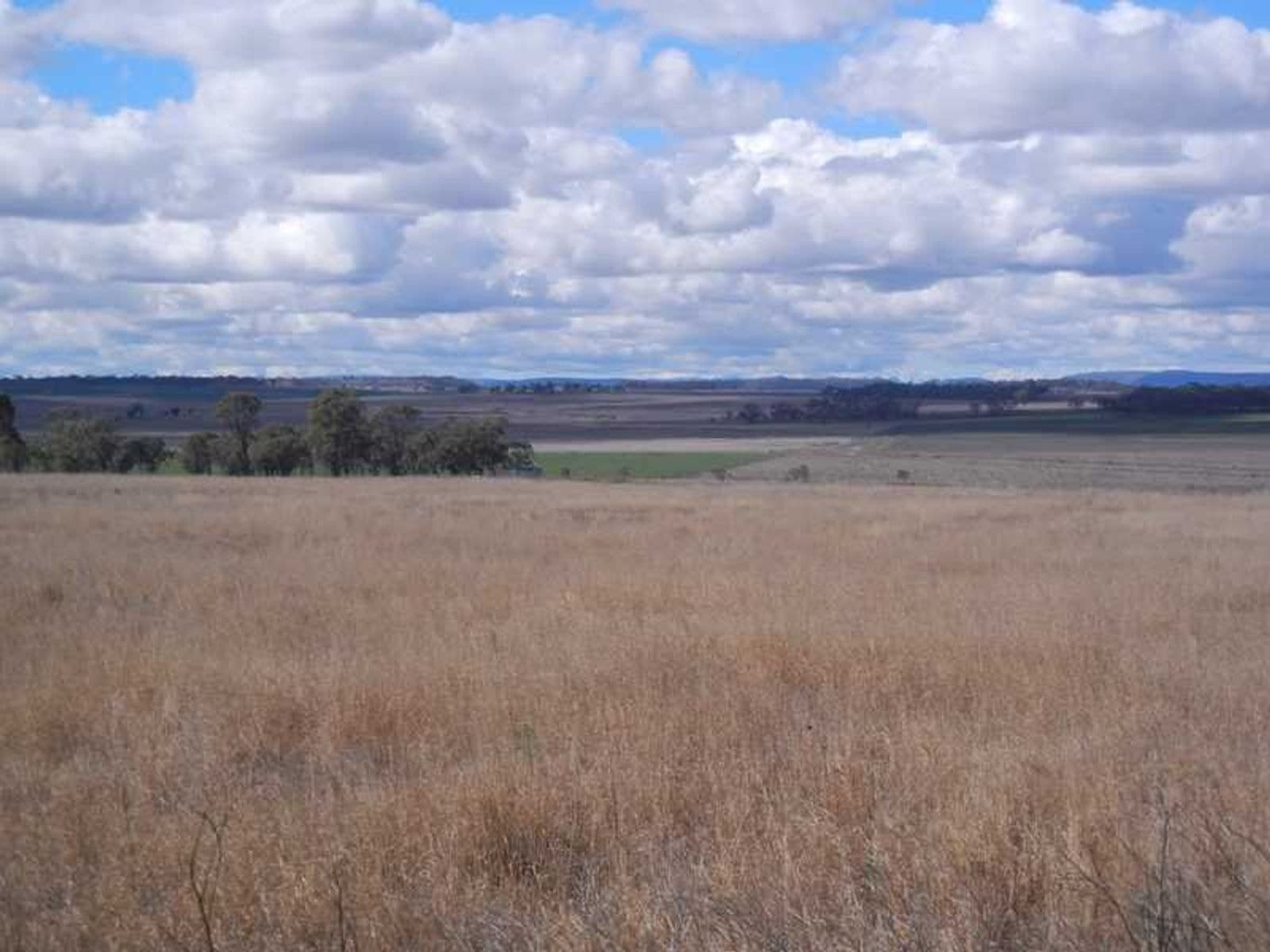 34 Starks Road, Talgai, QLD 4362, Talgai - Thumbnail 5