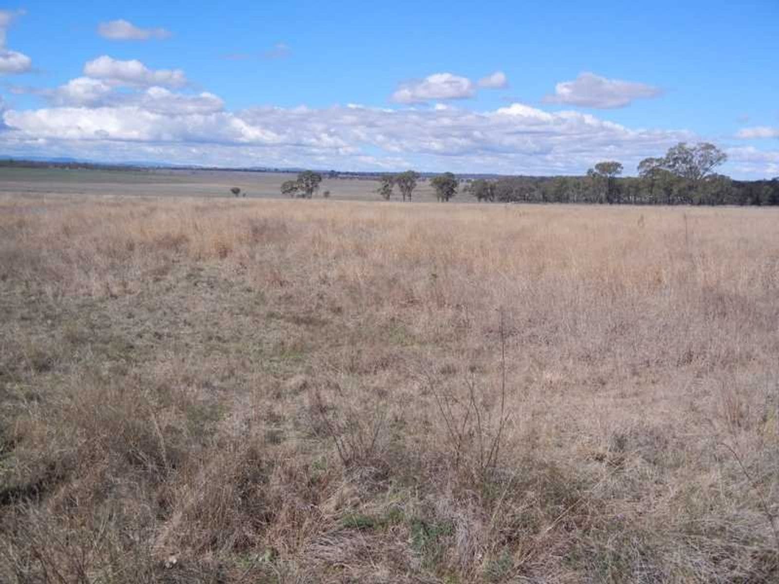 34 Starks Road, Talgai, QLD 4362, Talgai - Thumbnail 6