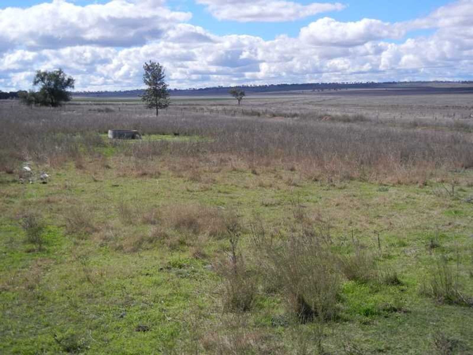 34 Starks Road, Talgai, QLD 4362, Talgai - Thumbnail 7
