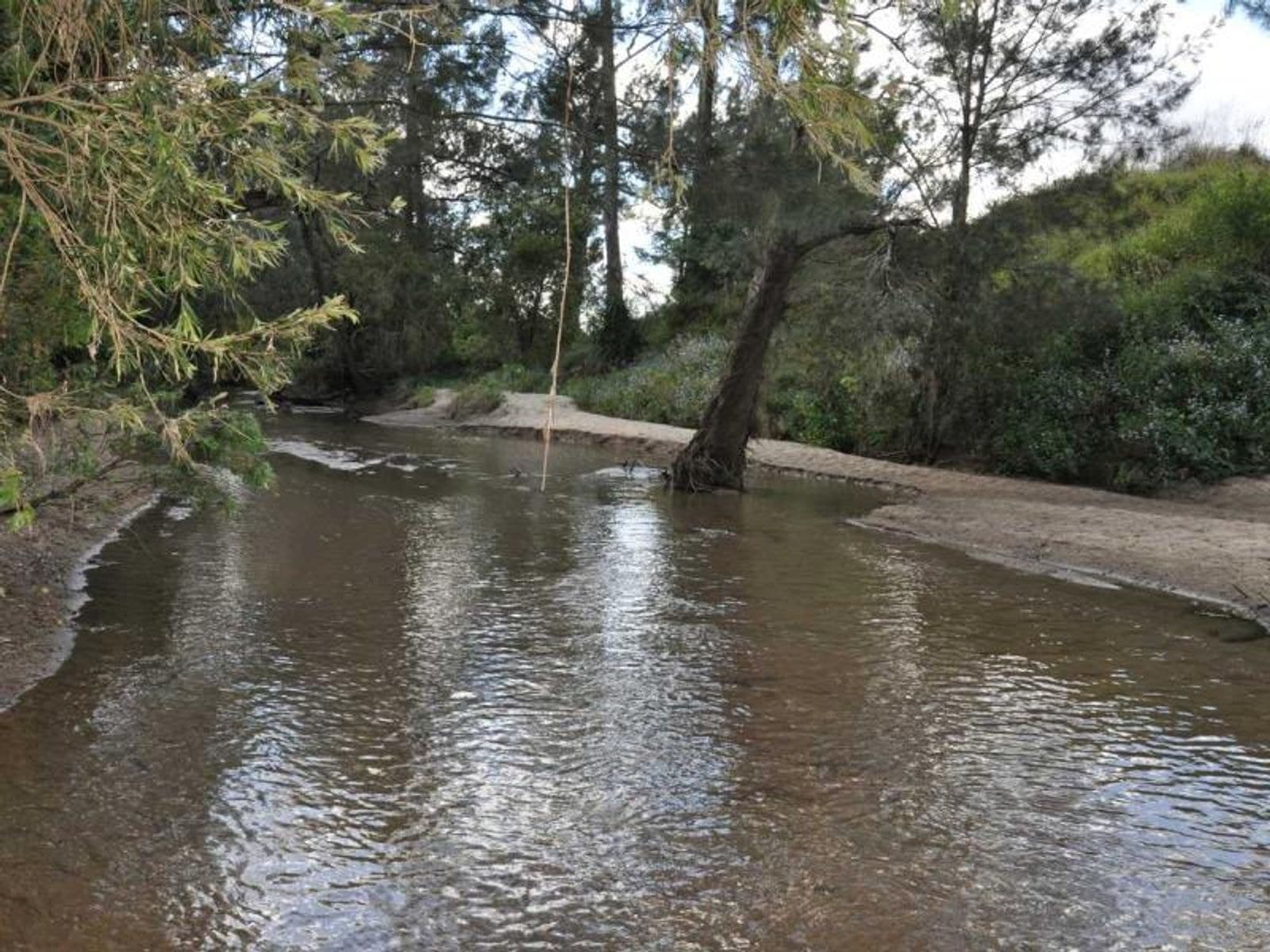 805 Shannonbrook Rd, Shannon Brook - Thumbnail 7