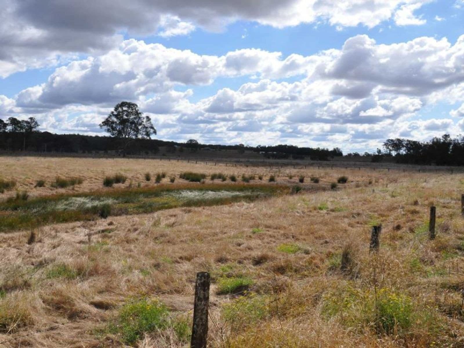 805 Shannonbrook Rd, Shannon Brook - Thumbnail 8