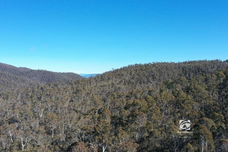 786 Mccallums Road, Benambra, VIC 3900, Benambra - Thumbnail 3
