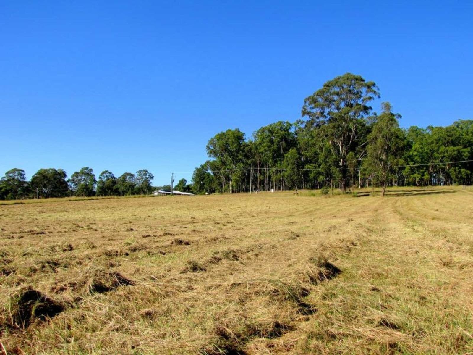 Lot 8 Lot 8 Penneyfather Close, Yorklea - Thumbnail 5
