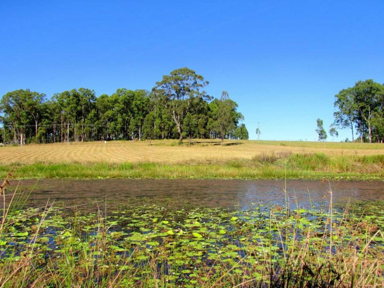 Lot 8 Lot 8 Penneyfather Close, Yorklea - Thumbnail 6