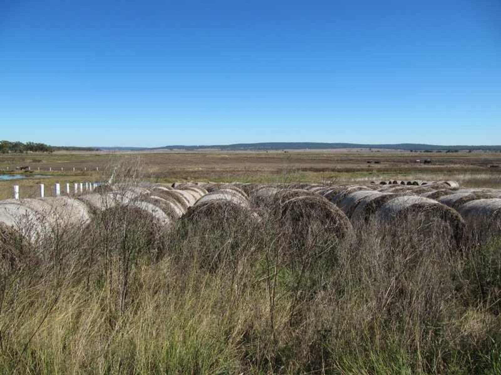 Warwick QLD 4370, Warwick - Thumbnail 4