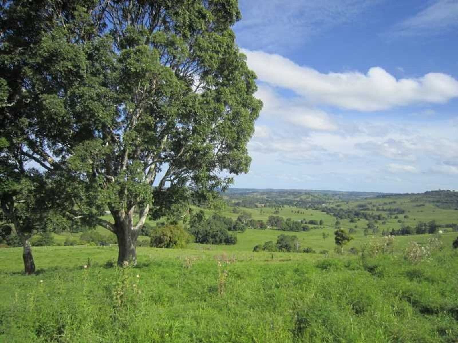 206 Cross Road, Numulgi - Thumbnail 4