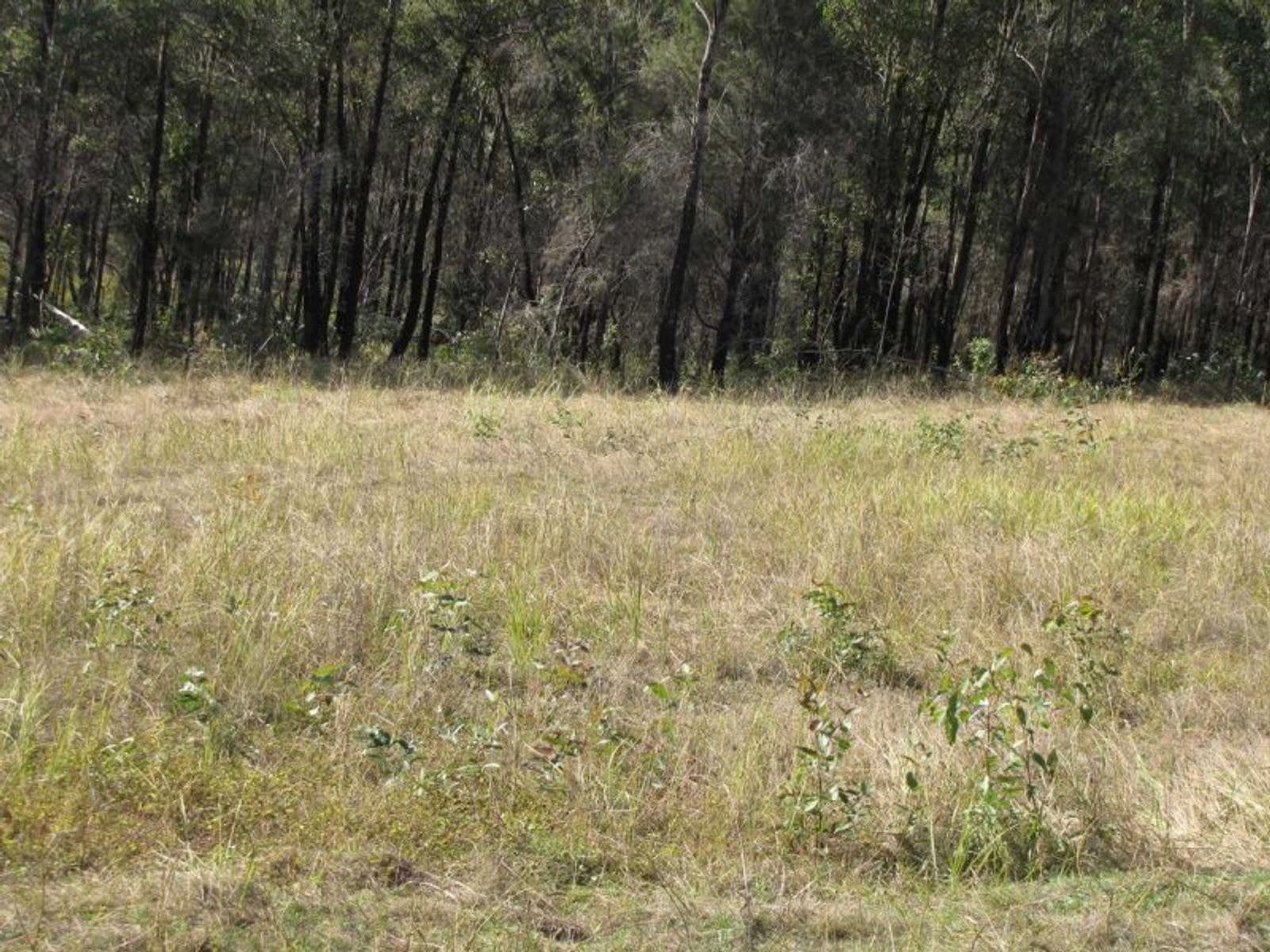 1368 Dyraaba Road, Dyraaba - Thumbnail 4