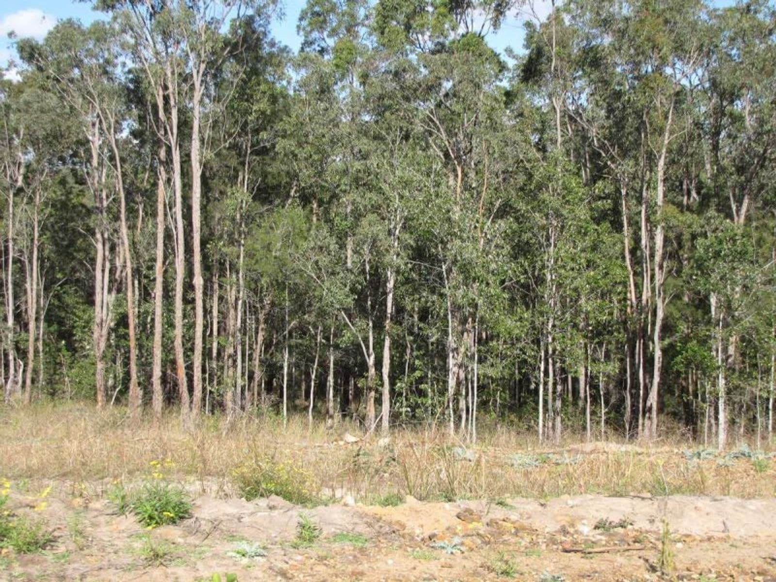 1368 Dyraaba Road, Dyraaba - Thumbnail 5