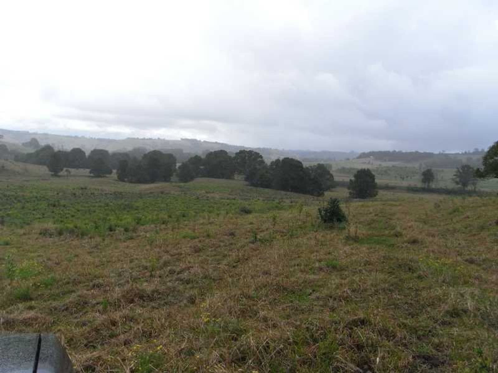 424 Corndale Road, Corndale - Thumbnail 6