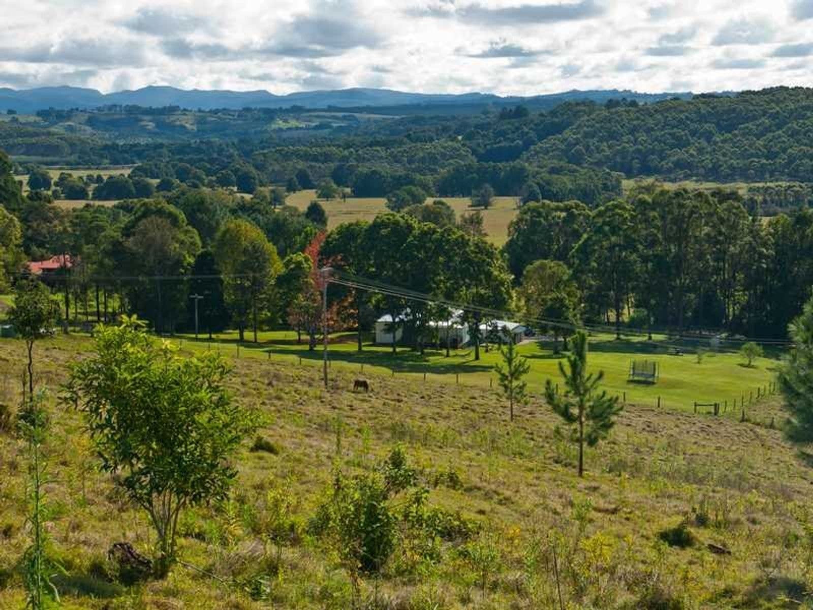 749 Houghlahans Creek Road, Fernleigh - Thumbnail 7