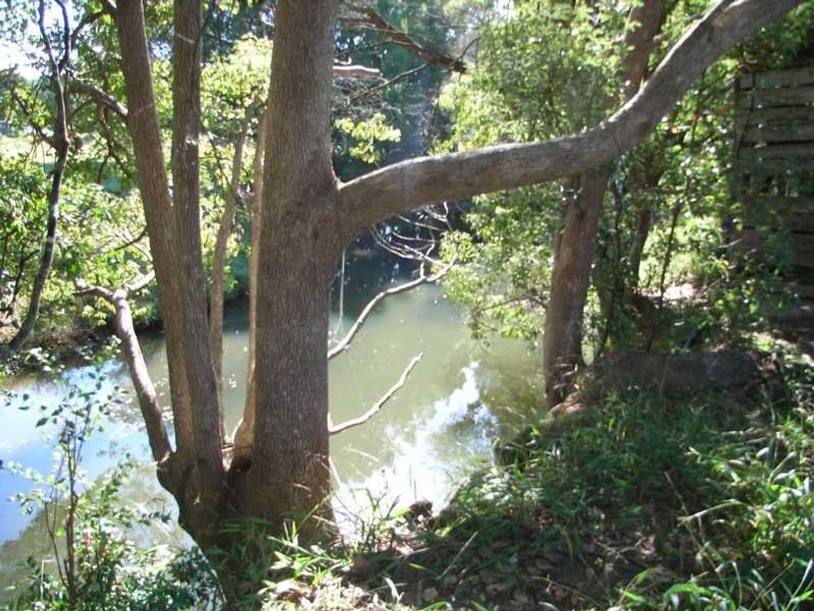 57 Crabbes Creek Road, Crabbes Creek - Thumbnail 6
