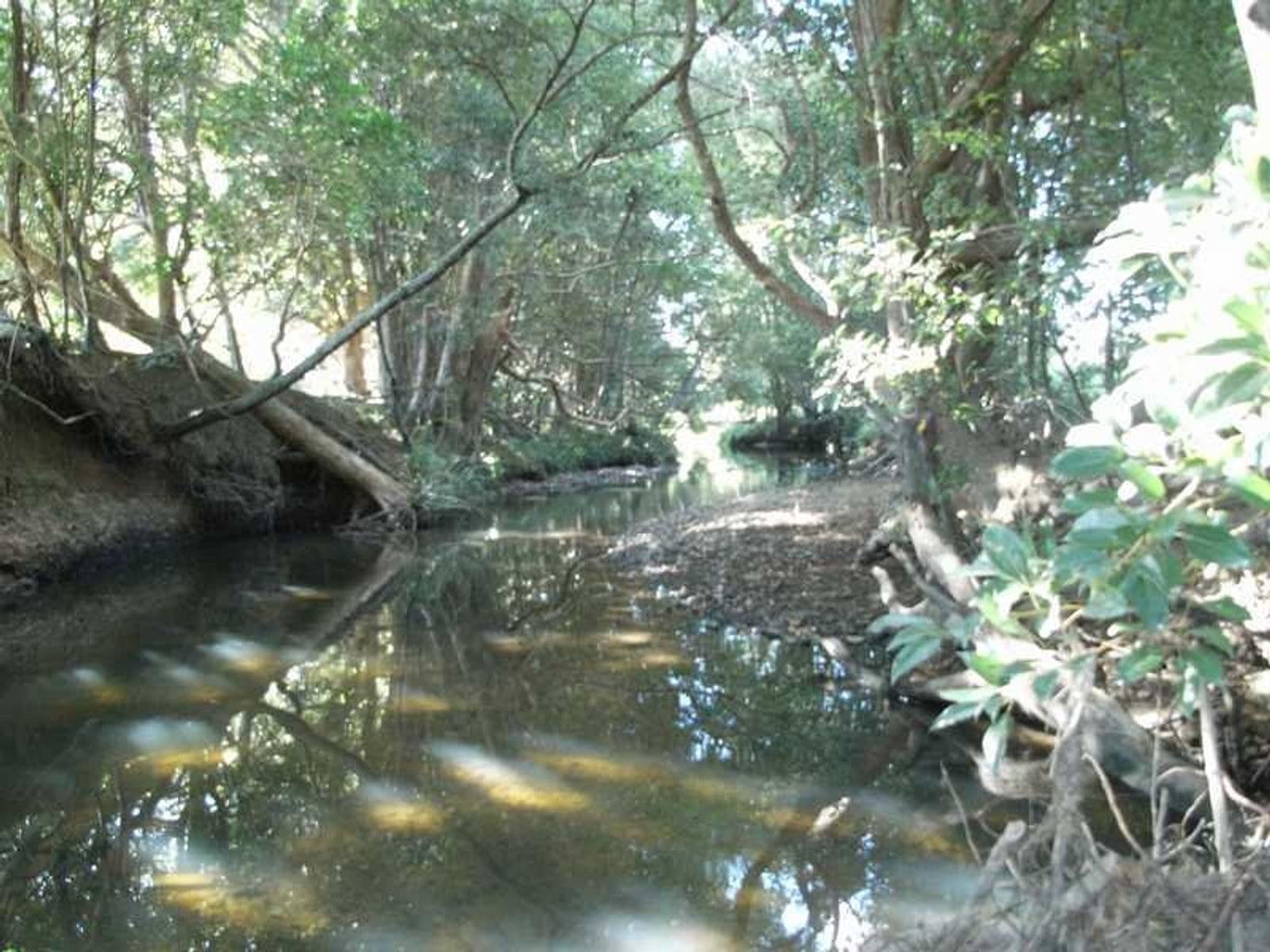 57 Crabbes Creek Road, Crabbes Creek - Thumbnail 8