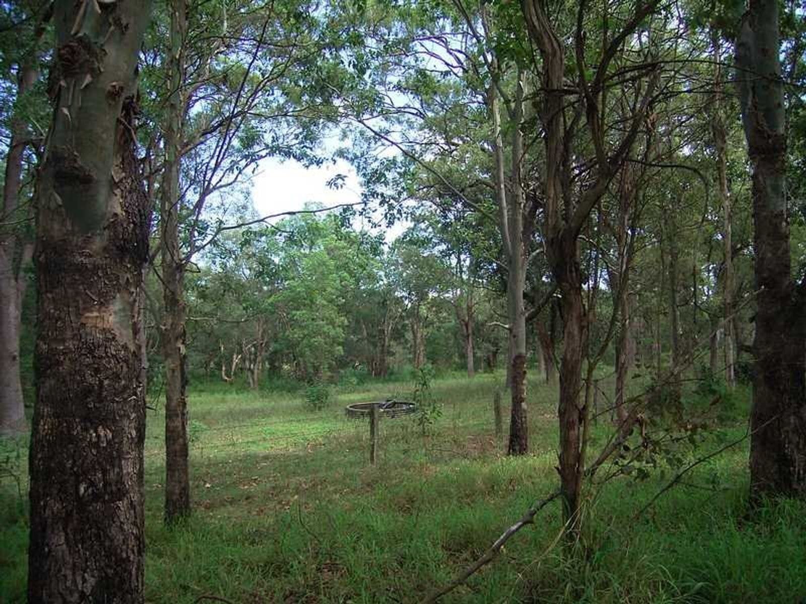 Lot 2 Lot 2 Rosewood Avenue, Casino - Thumbnail 5