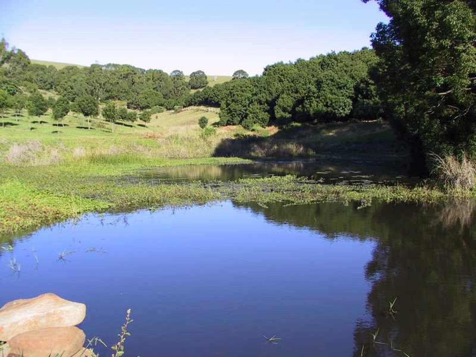 Lot 1 Pacific Highway, Bangalow - Thumbnail 5