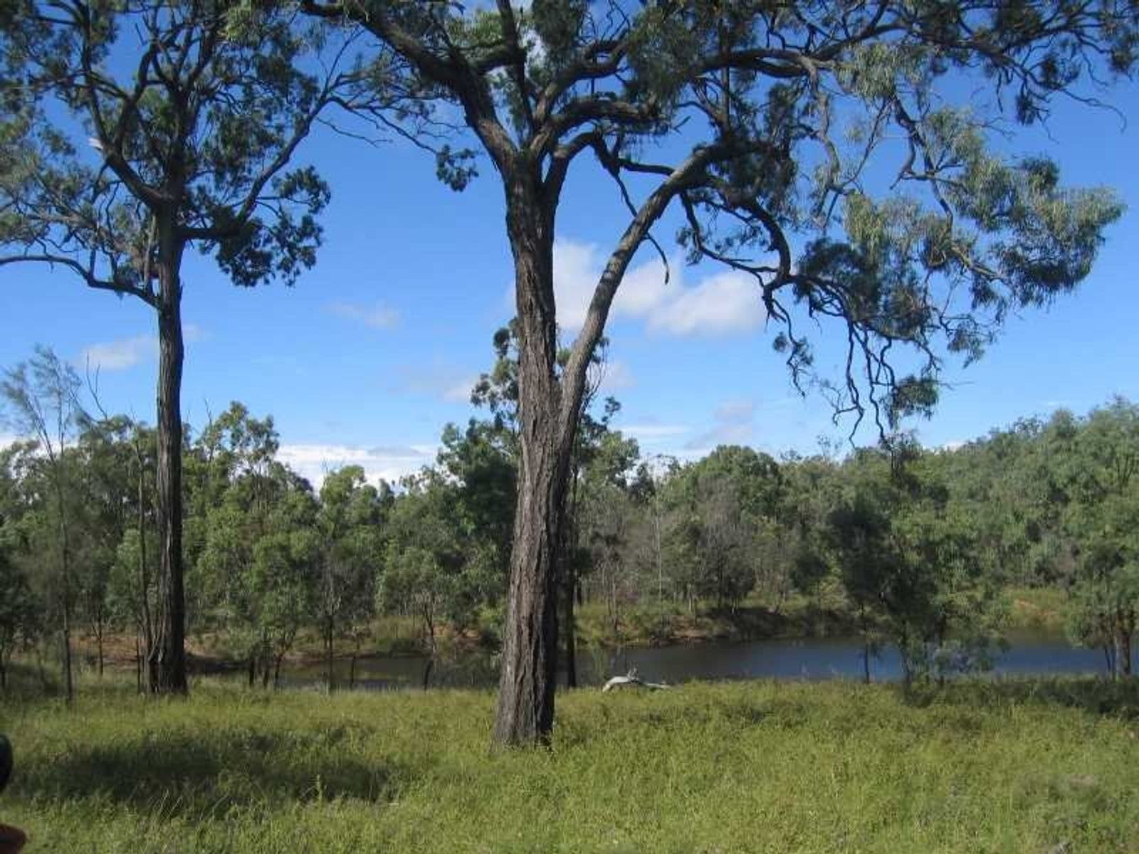 Pratten QLD 4370, Pratten - Thumbnail 6