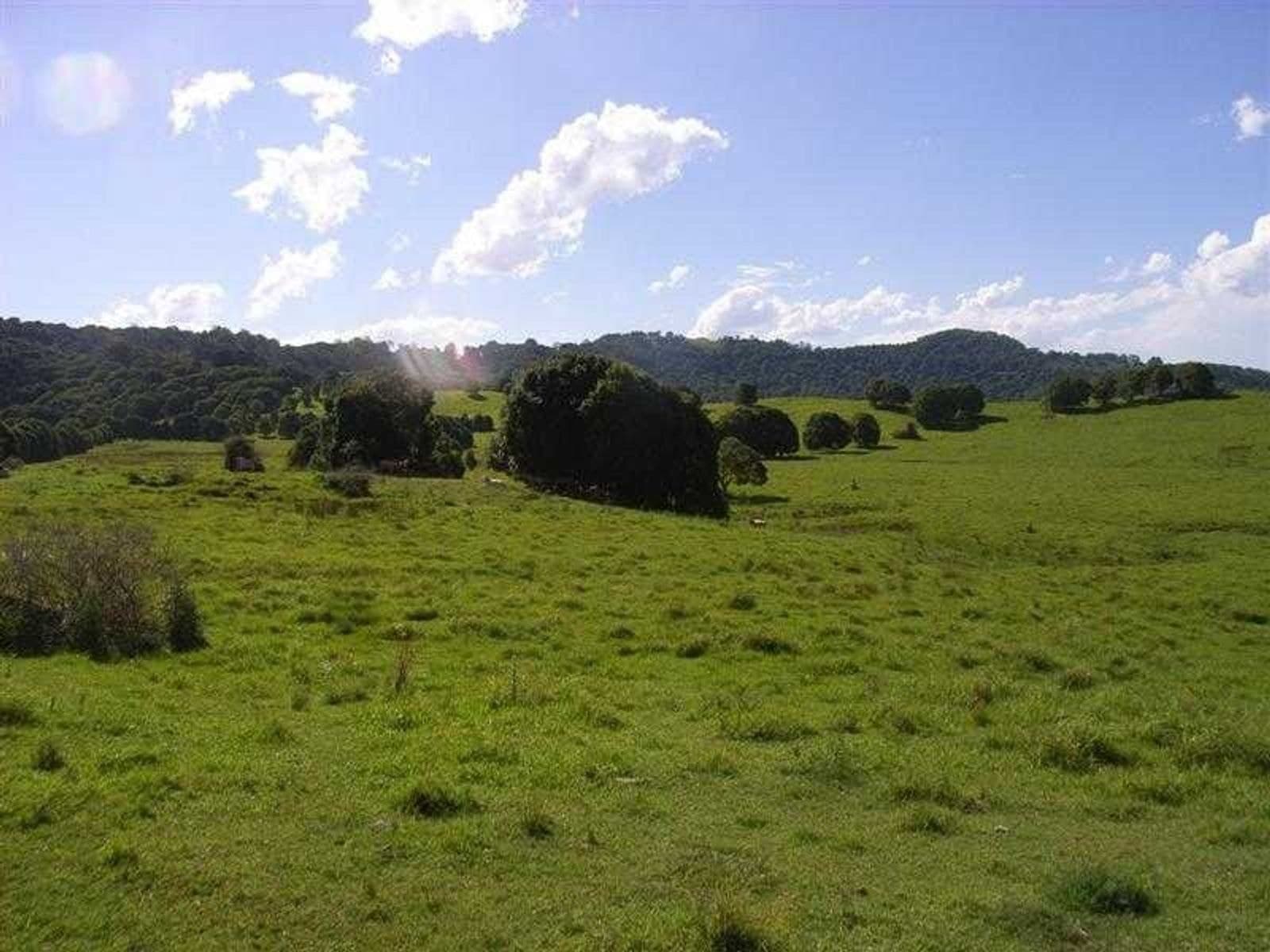 Lot 200-202 Lot 200-202 Dingo Lane, Myocum - Thumbnail 7