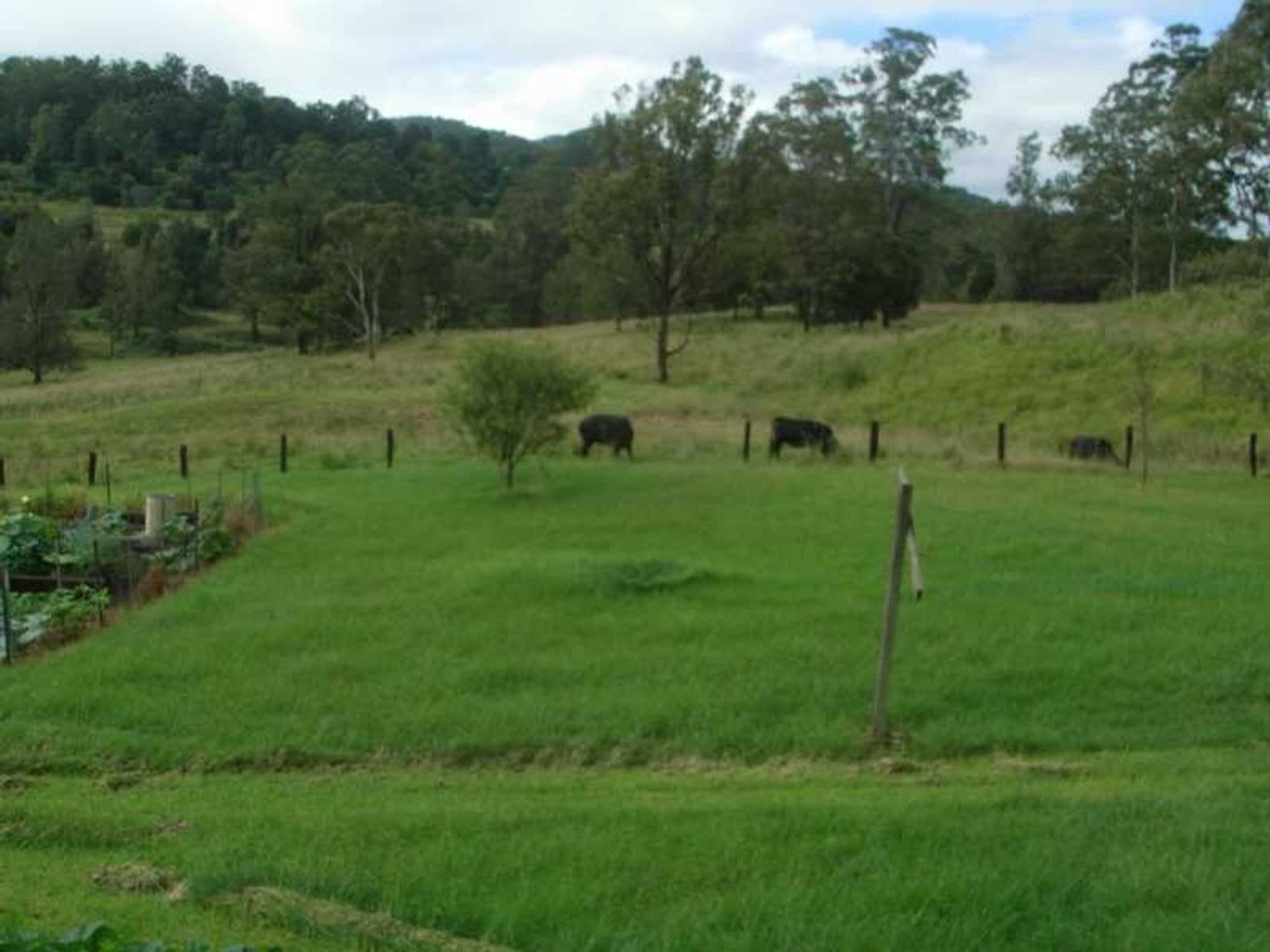 Barkers Vale NSW 2474, Barkers Vale - Thumbnail 5