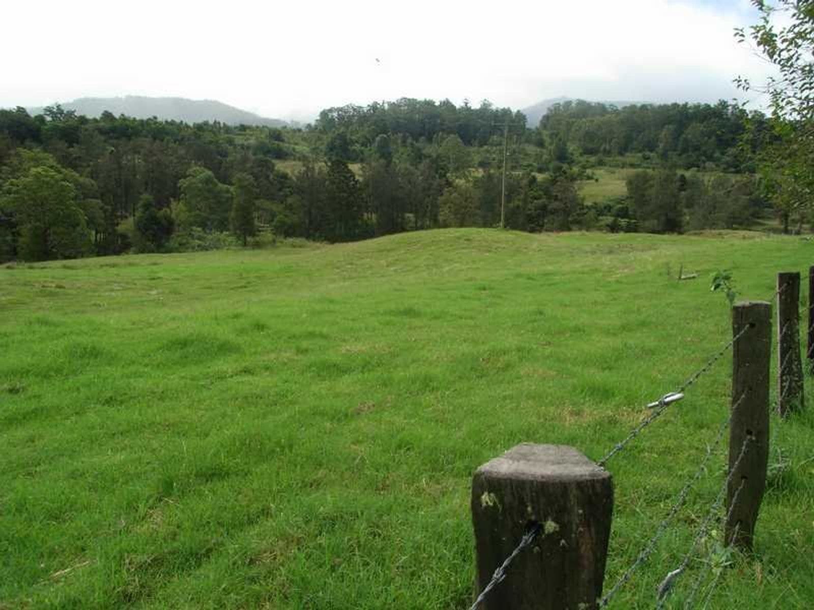 Barkers Vale NSW 2474, Barkers Vale - Thumbnail 8