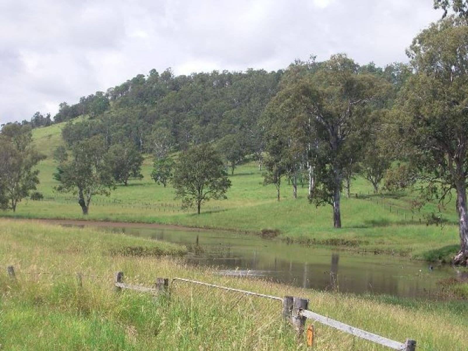 Spring Grove NSW 2470, Spring Grove - Thumbnail 5