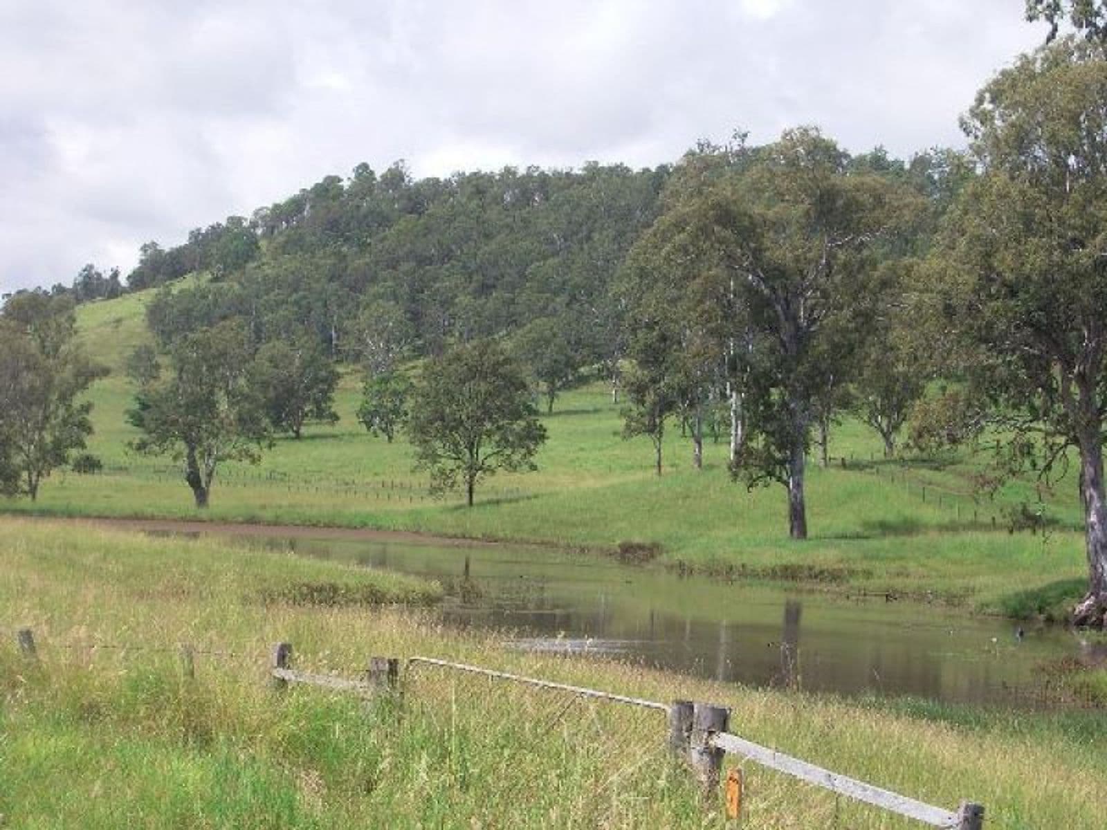 Spring Grove NSW 2470, Spring Grove - Thumbnail 6