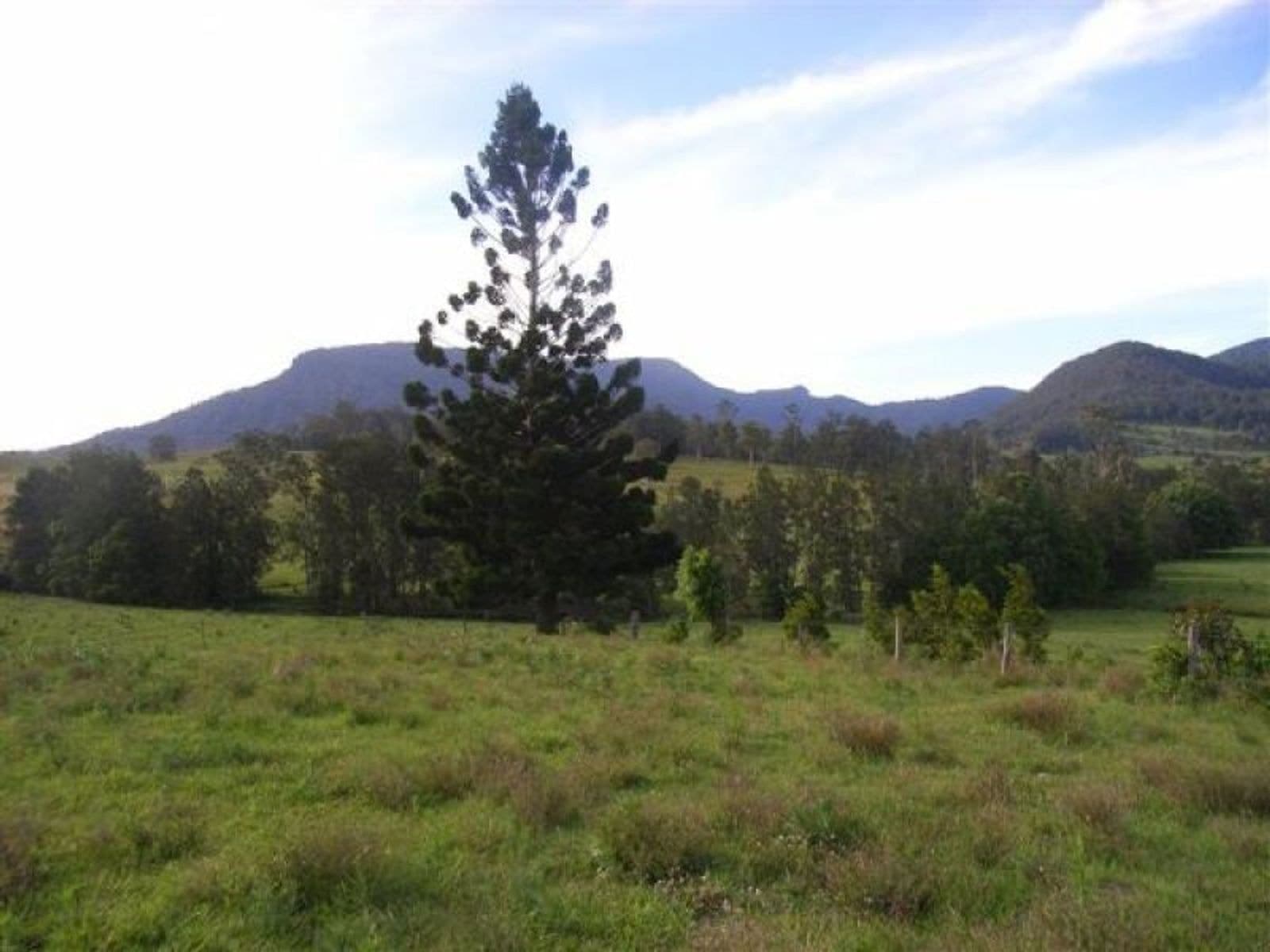 Nimbin NSW 2480, Nimbin - Thumbnail 4