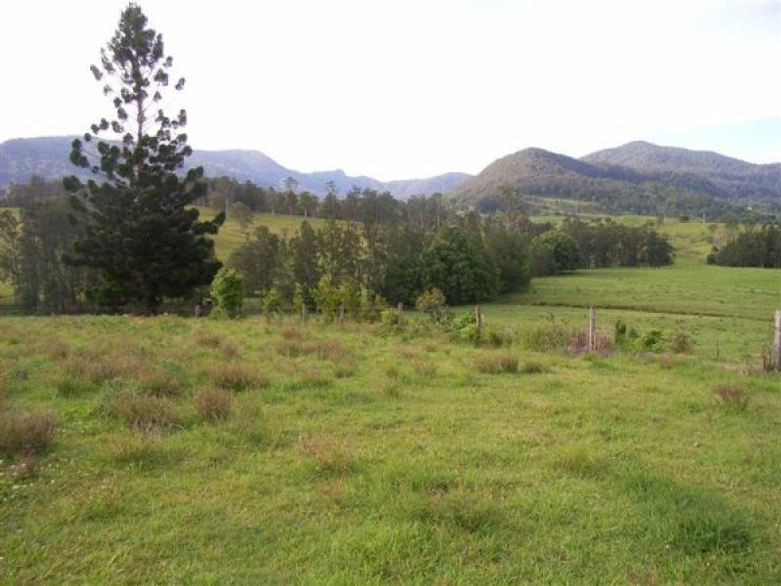 Nimbin NSW 2480, Nimbin - Thumbnail 5