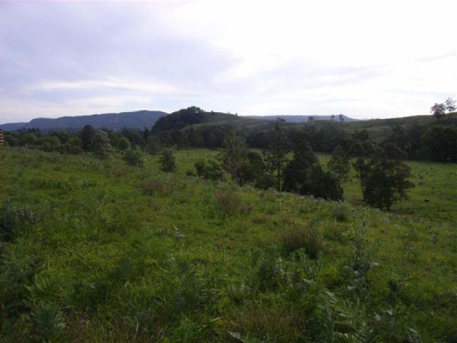 Nimbin NSW 2480, Nimbin - Thumbnail 7