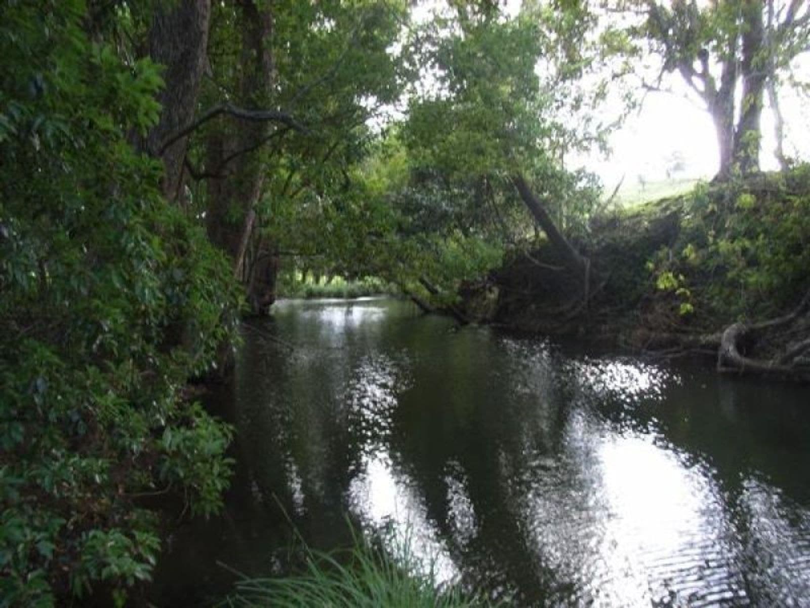 Nimbin NSW 2480, Nimbin - Thumbnail 8