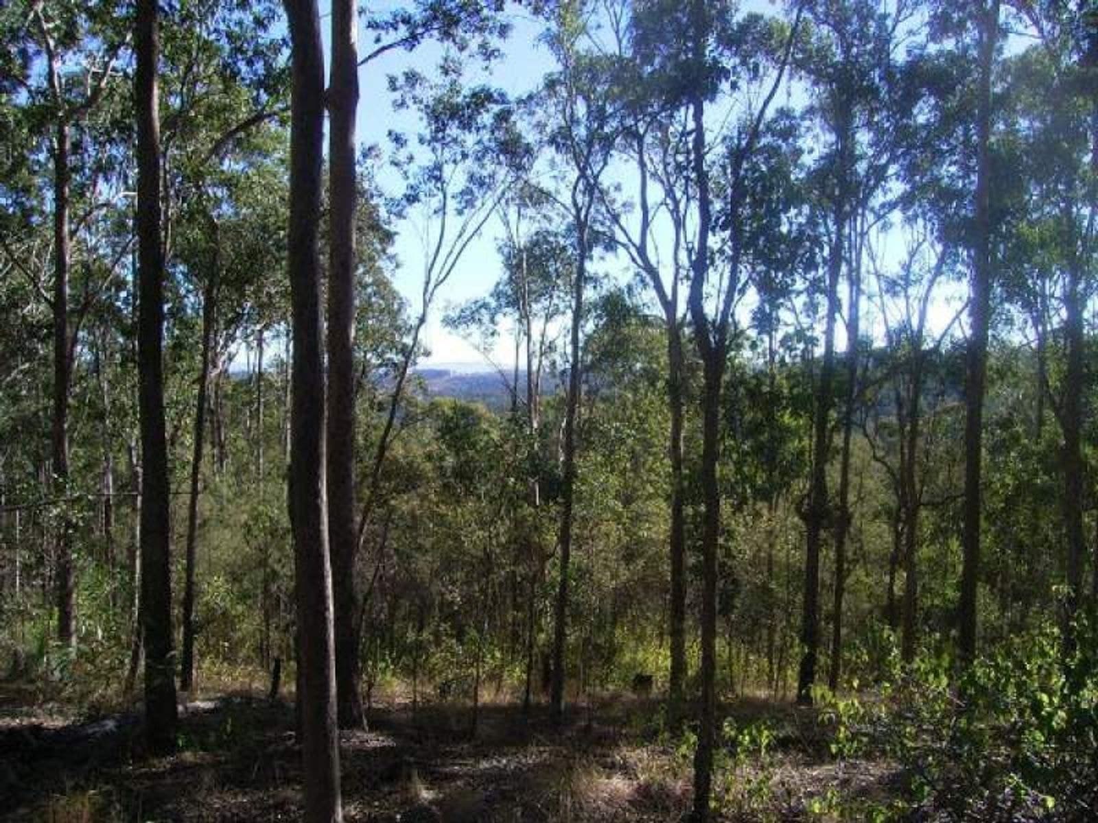 Mallanganee NSW 2469, Mallanganee - Thumbnail 4