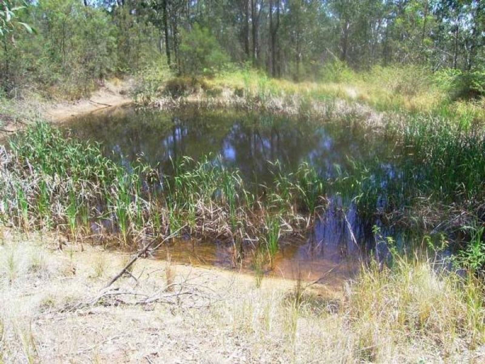 Mallanganee NSW 2469, Mallanganee - Thumbnail 5