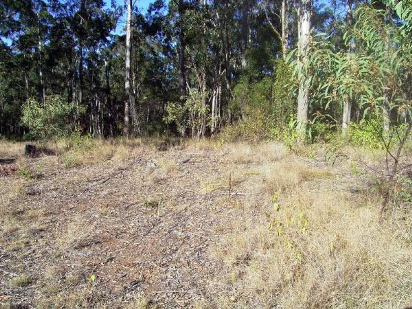 Mallanganee NSW 2469, Mallanganee - Thumbnail 6