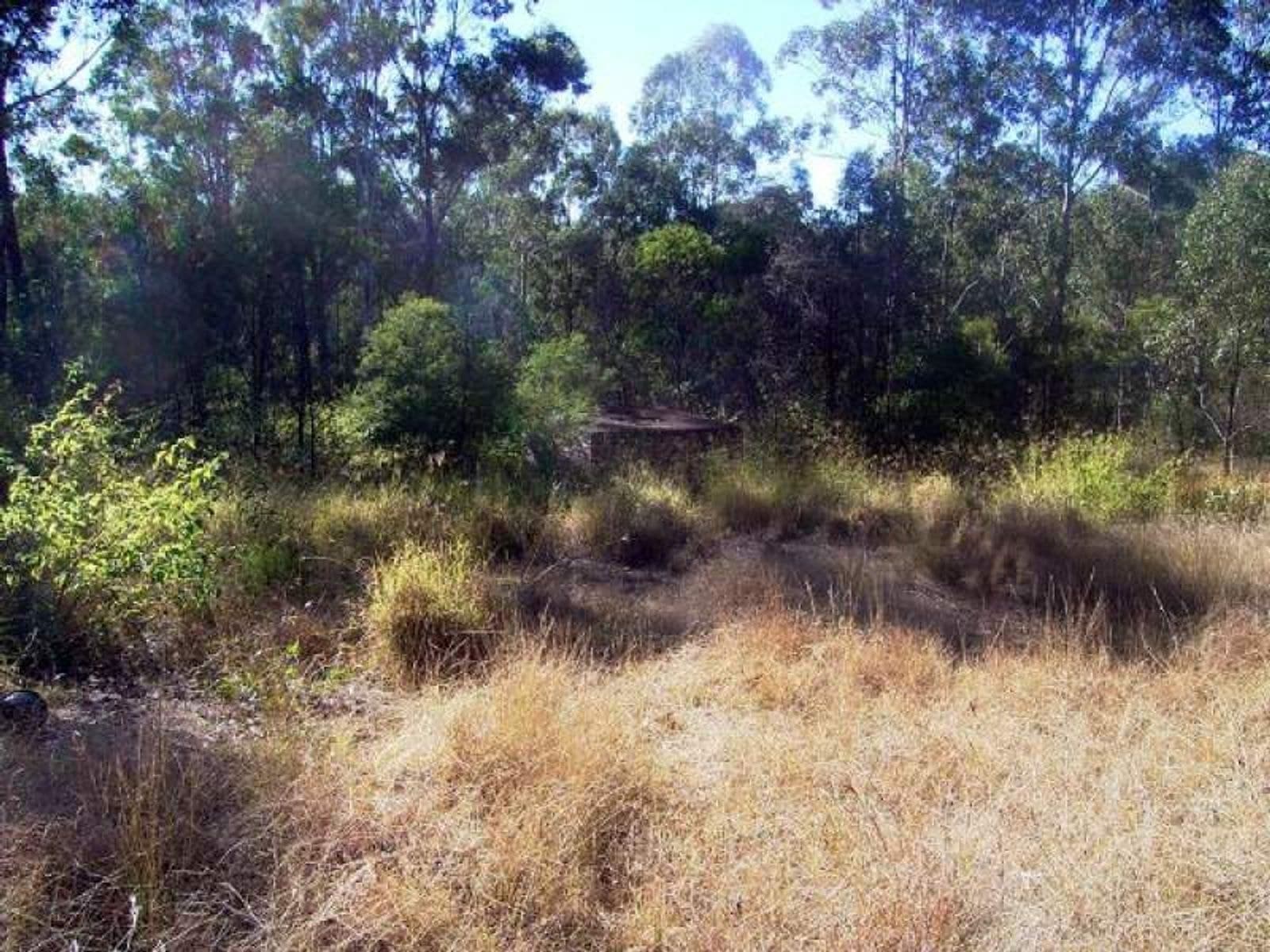Mallanganee NSW 2469, Mallanganee - Thumbnail 7