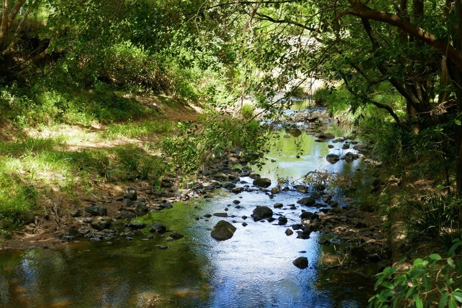 1810 Afterlee Rd, Afterlee - Thumbnail 2