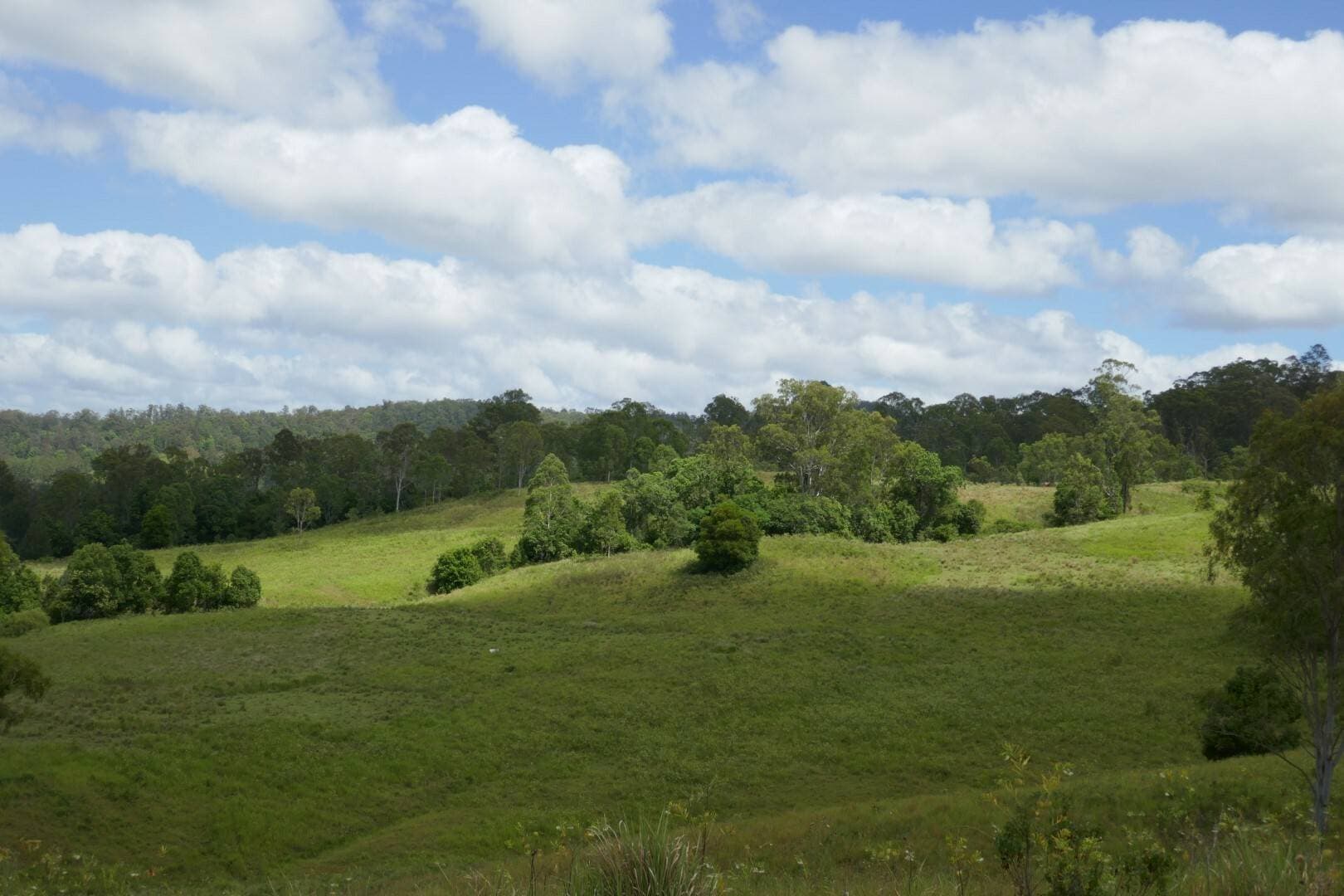 1810 Afterlee Rd, Afterlee - Thumbnail 7