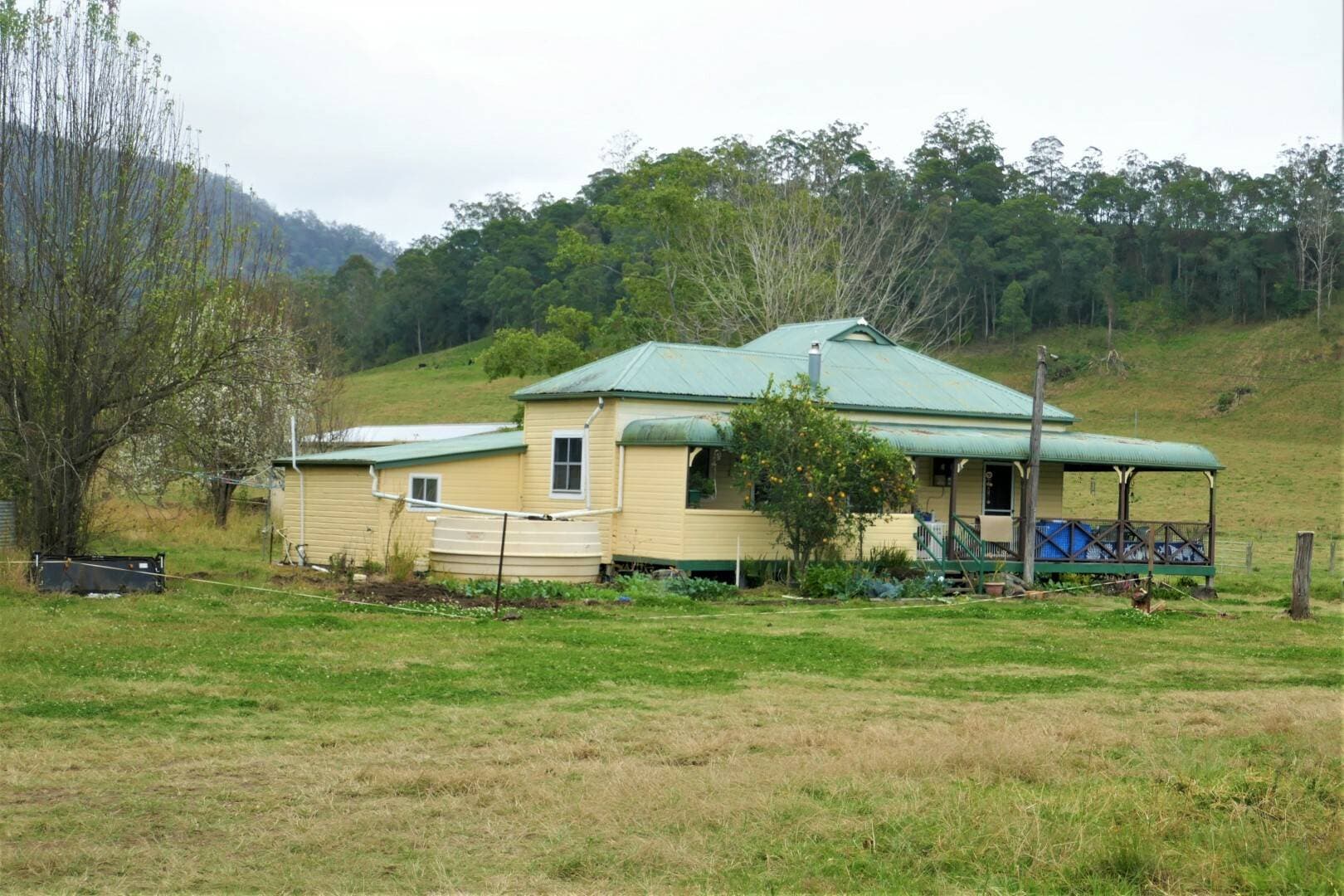 35 Phelps Road,, Green Pigeon - Thumbnail 6