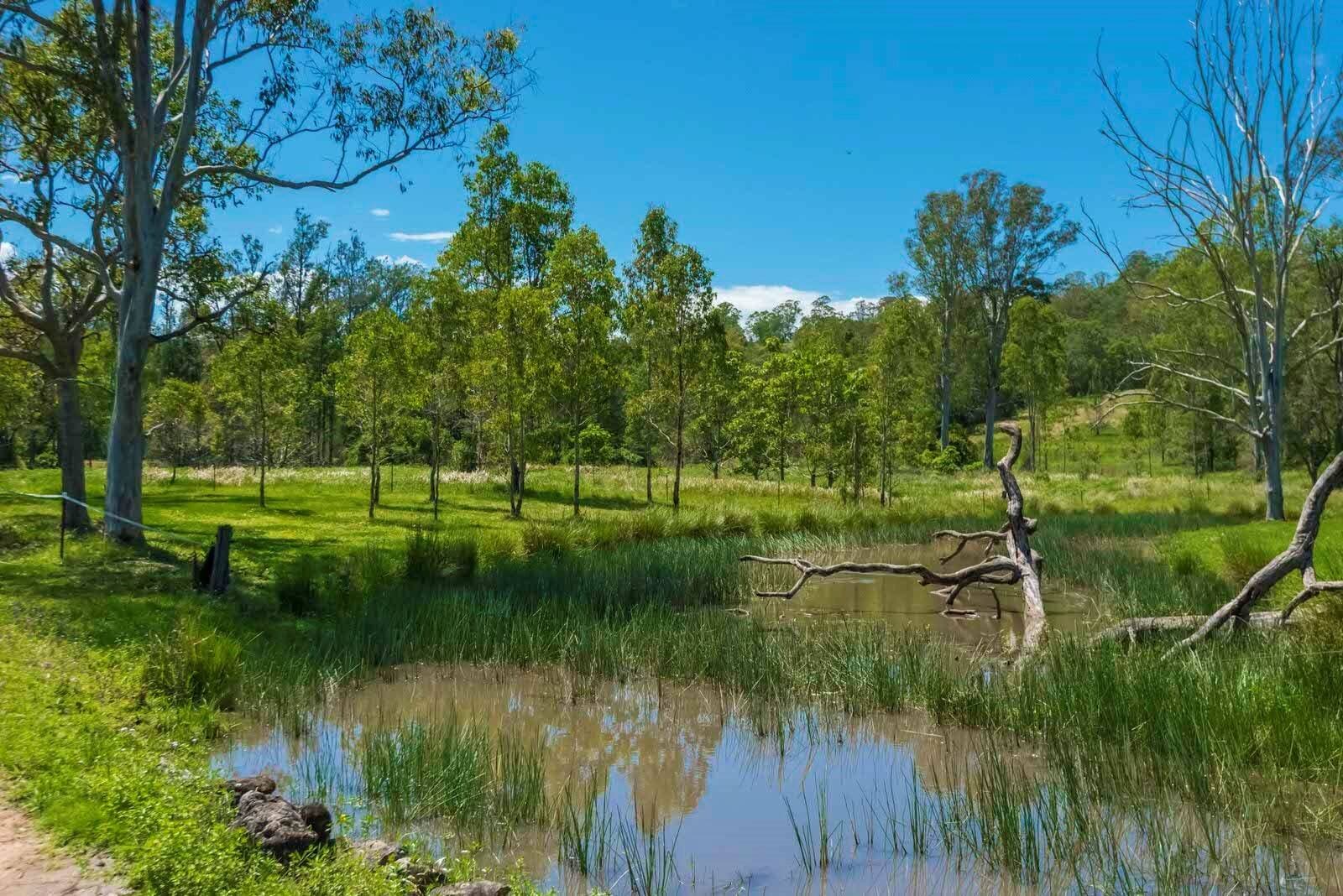 5176 Kyogle Road, Cawongla - Thumbnail 5