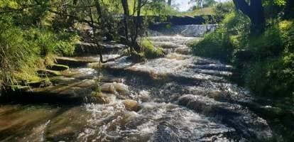 1521 Sextonville Road, Kyogle - Thumbnail 2