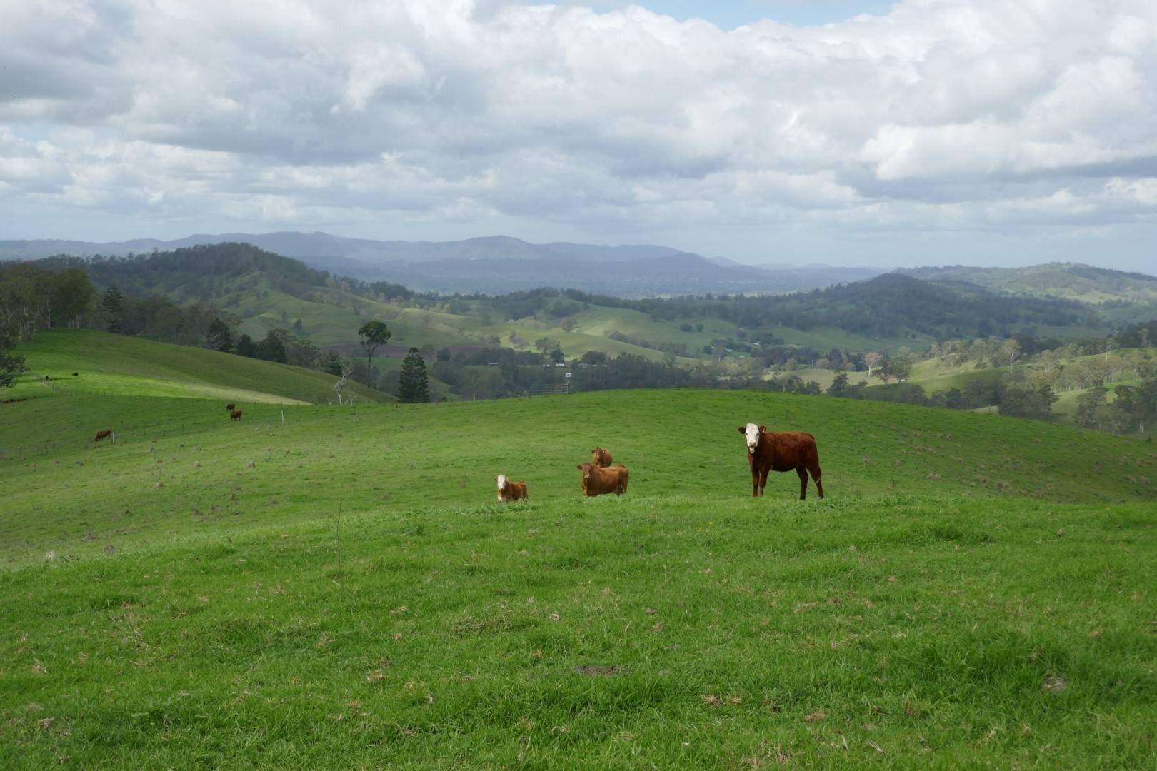 429 Wyndham Creek Road, Kyogle - Thumbnail 3