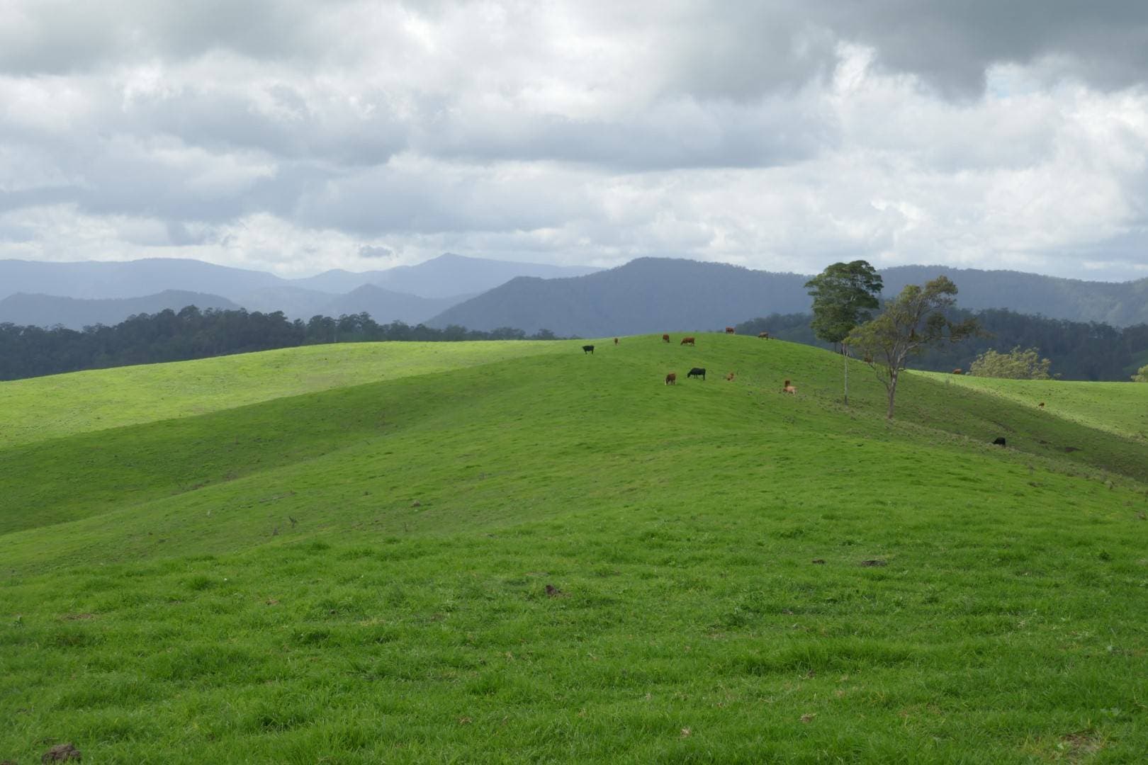 429 Wyndham Creek Road, Kyogle - Thumbnail 4