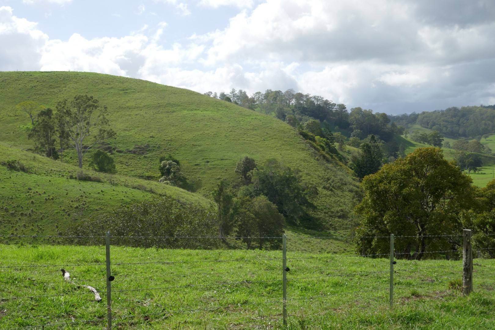 429 Wyndham Creek Road, Kyogle - Thumbnail 5