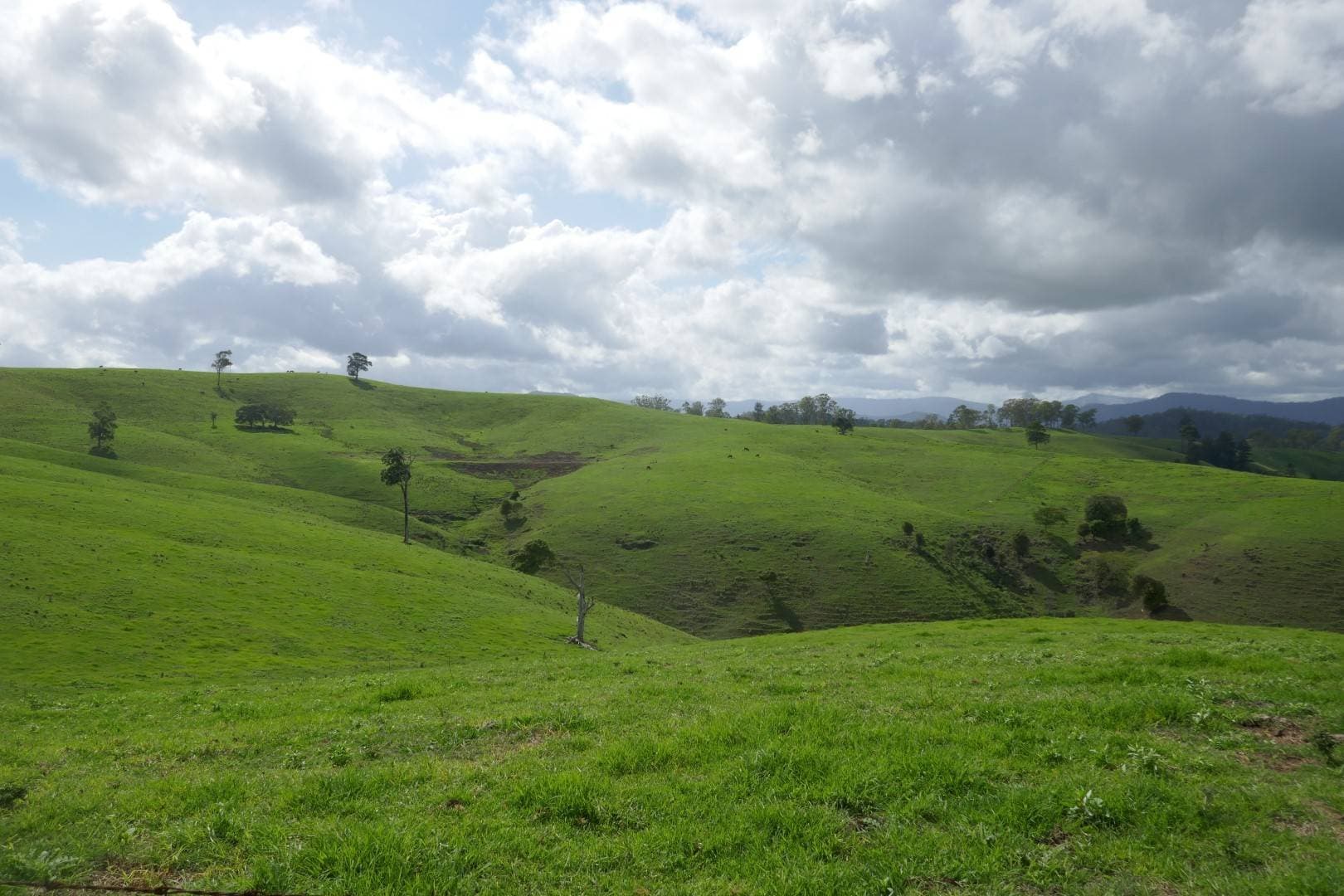 429 Wyndham Creek Road, Kyogle - Thumbnail 8