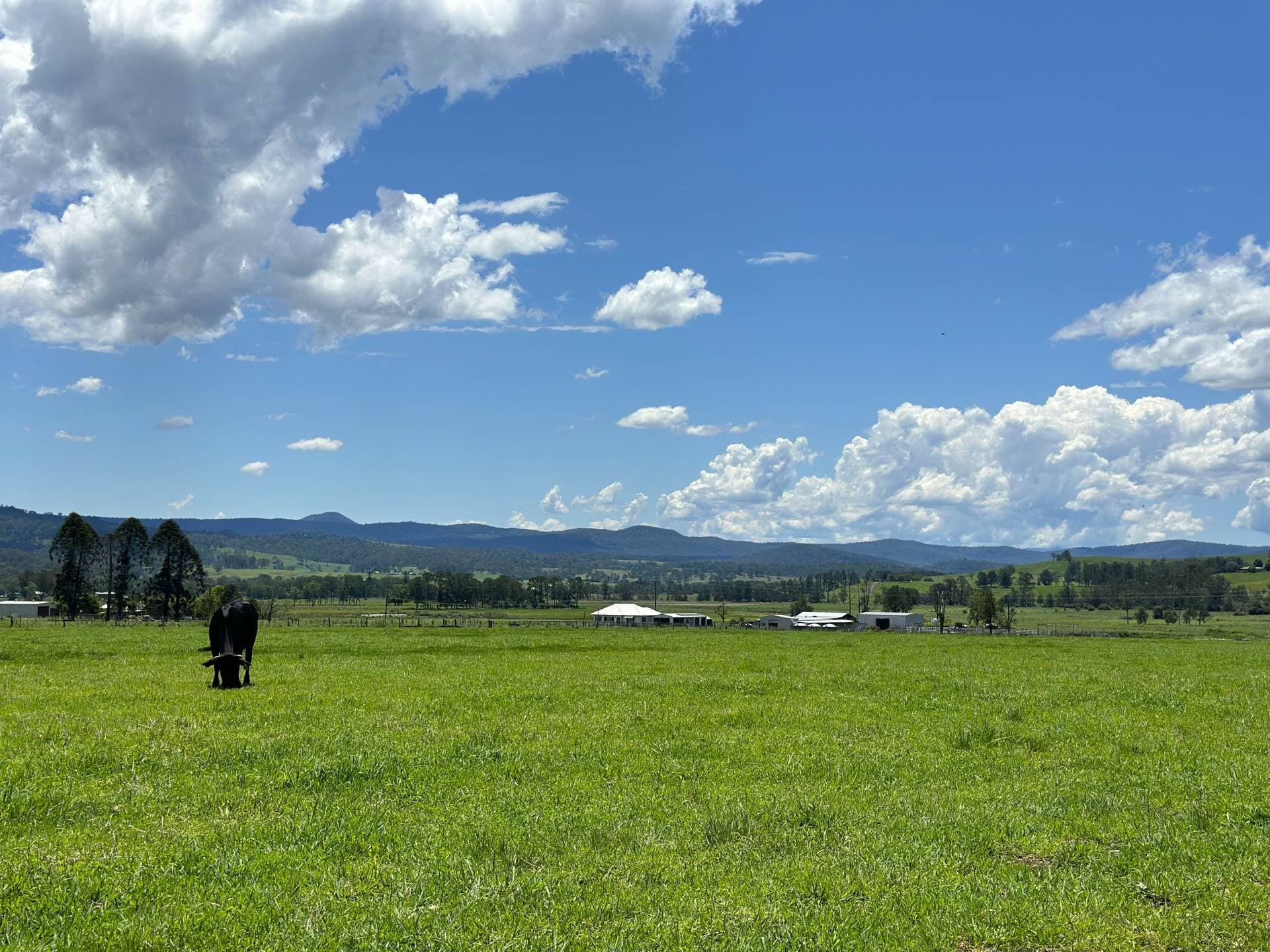 119 Duck Creek Road, Duck Creek - Thumbnail 2